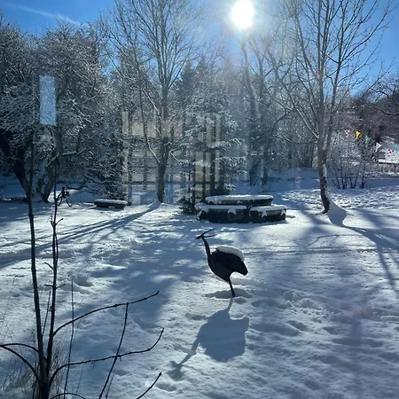 Cote Tiretaine Апартаменты Орсин